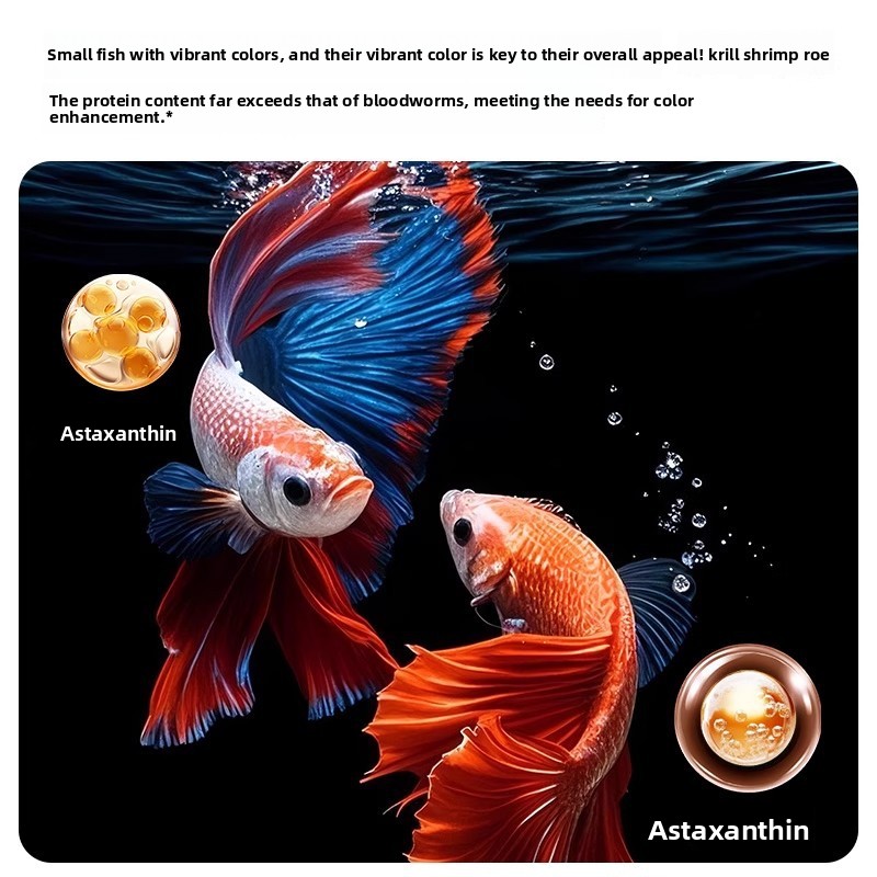 Yee Krill & Baby Shrimp Alimen - Dry Food Baby reseña y precio